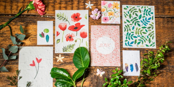 a919854 28129 760 380 s c1